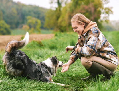 Dog Obedience Training